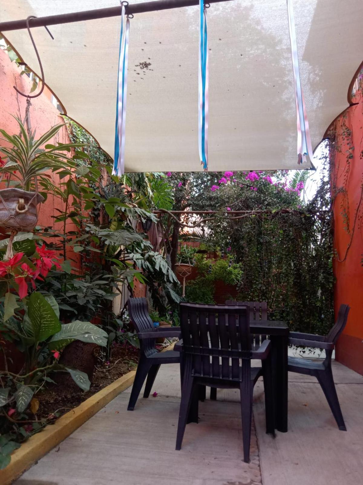Casa Guanab Guest House 오아하카주 외부 사진