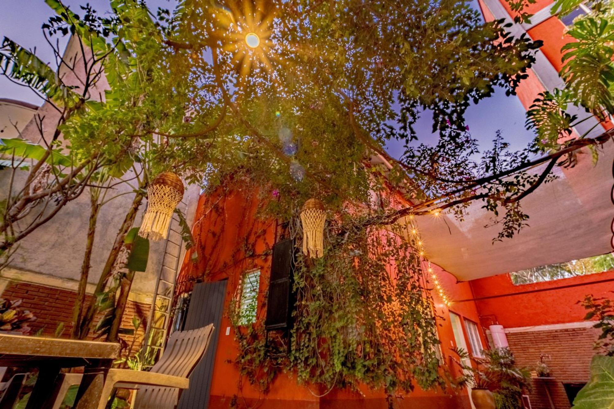 Casa Guanab Guest House 오아하카주 외부 사진