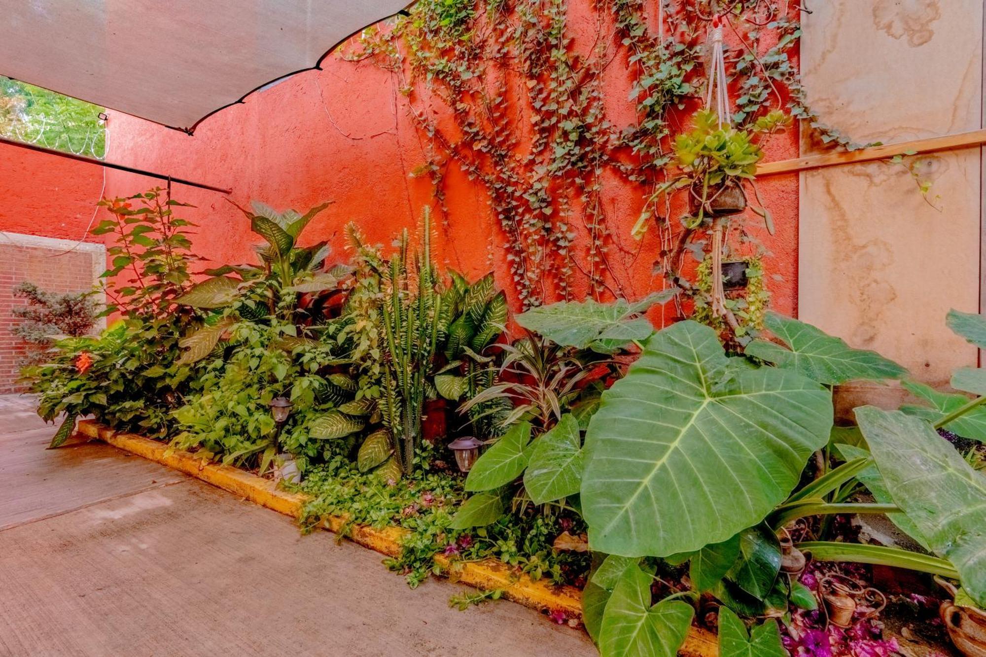 Casa Guanab Guest House 오아하카주 외부 사진